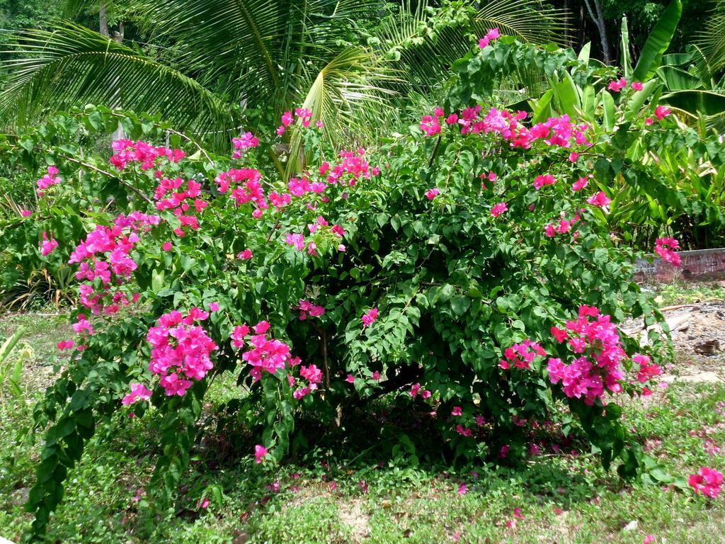 Seagull Villa Ko Lanta الغرفة الصورة