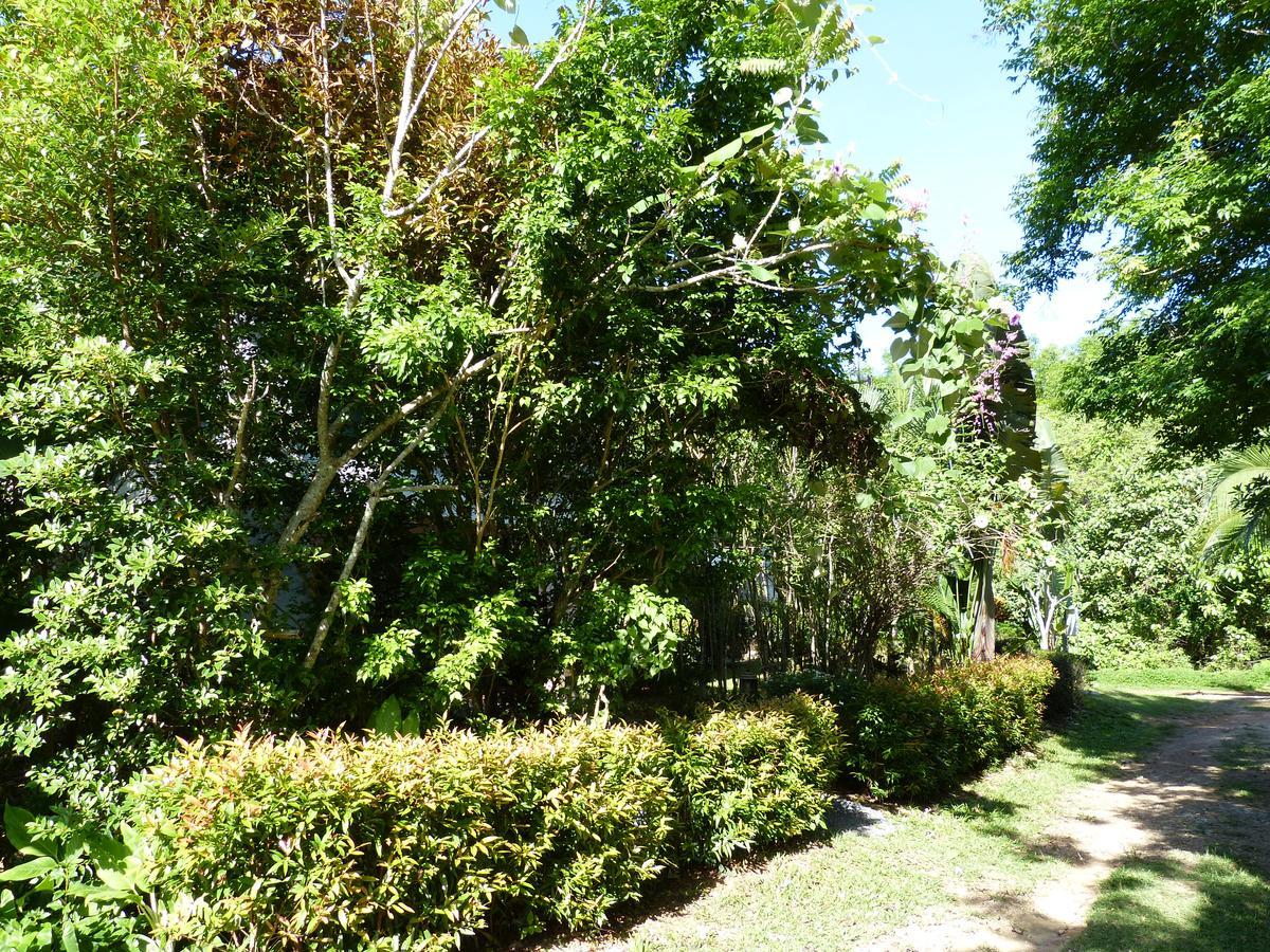 Seagull Villa Ko Lanta المظهر الخارجي الصورة