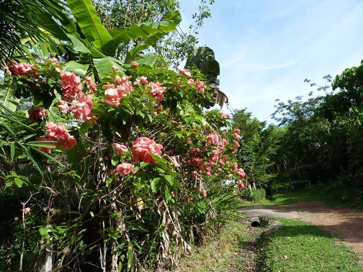 Seagull Villa Ko Lanta المظهر الخارجي الصورة