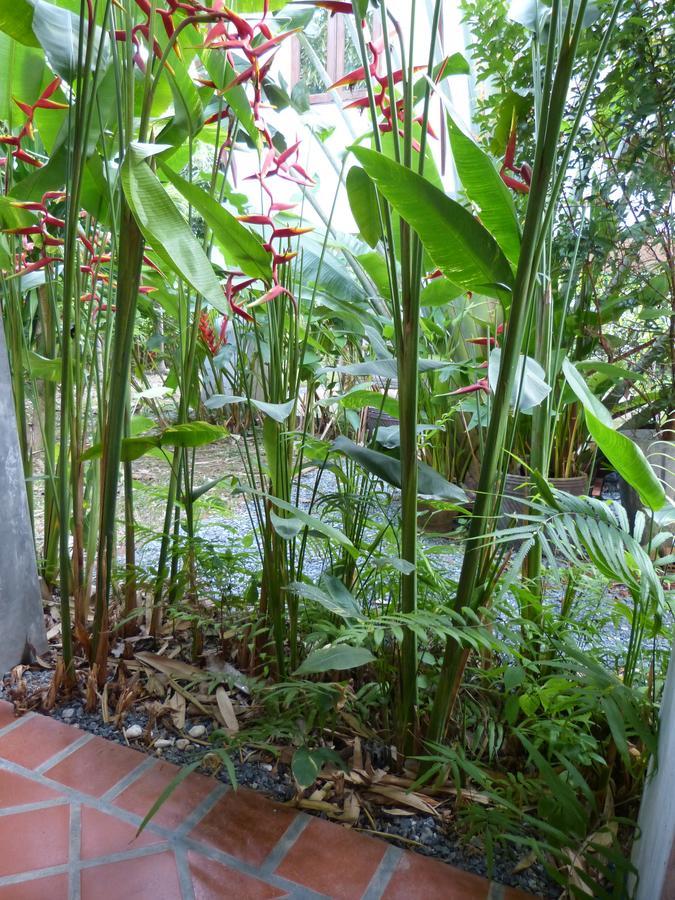 Seagull Villa Ko Lanta المظهر الخارجي الصورة